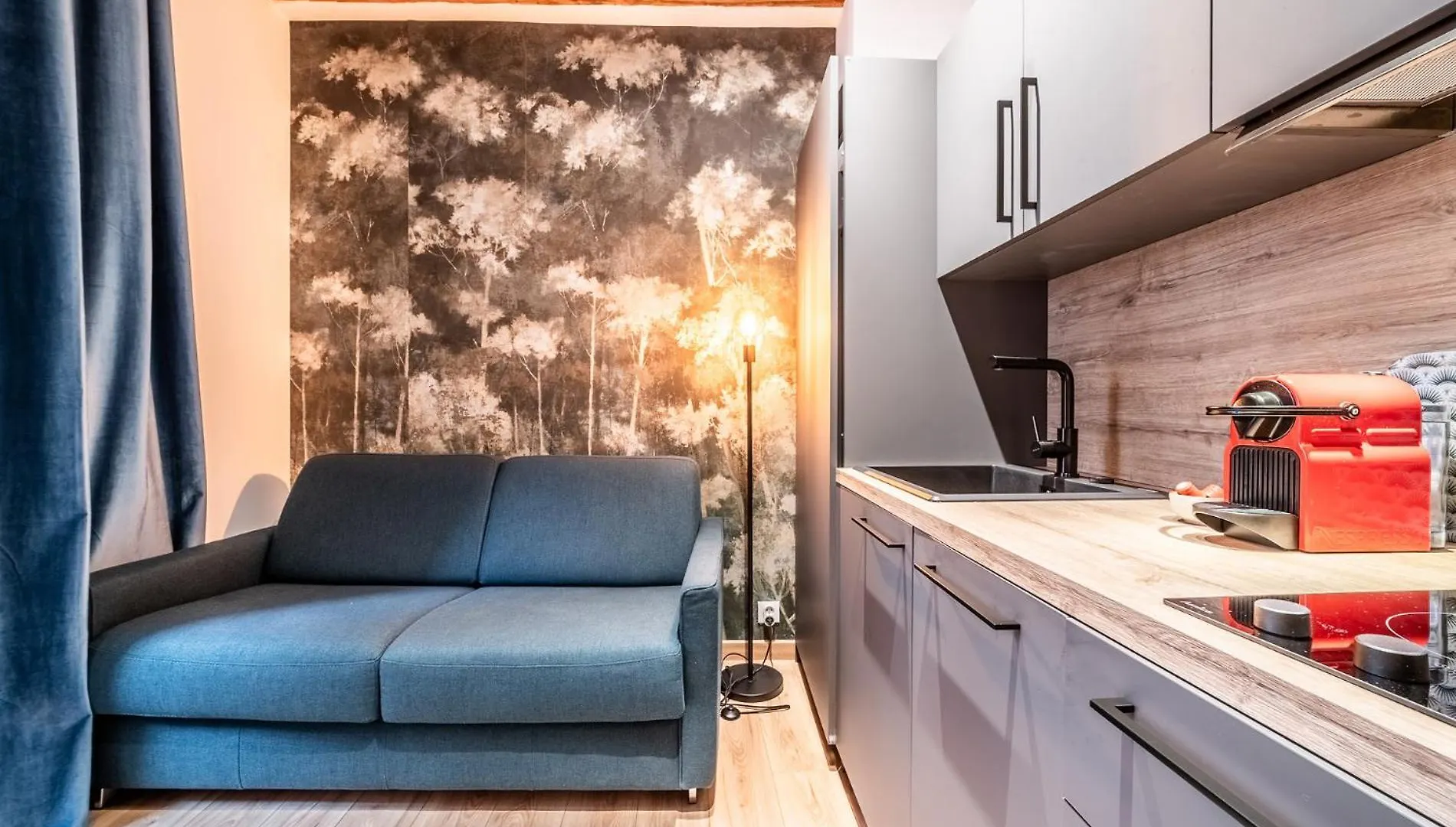 Coeur Vieille Ville Annecy Apartment